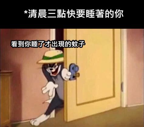 蚊子梗圖